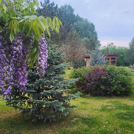 Willa Gyoember Tanya Ásotthalom Zewnętrze zdjęcie