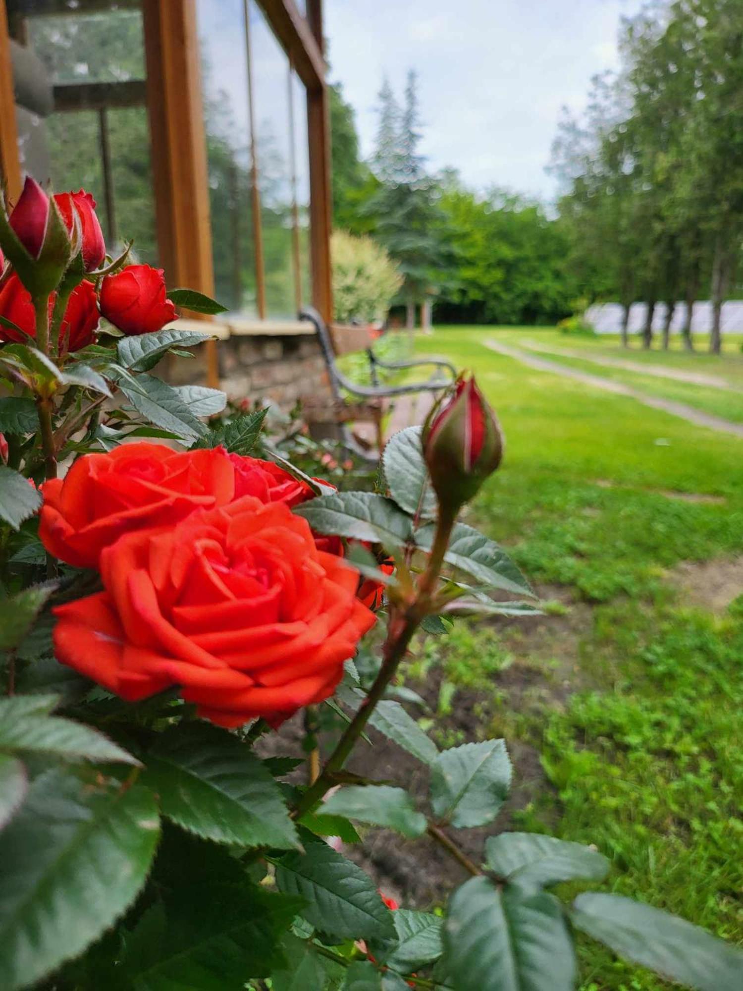 Willa Gyoember Tanya Ásotthalom Zewnętrze zdjęcie