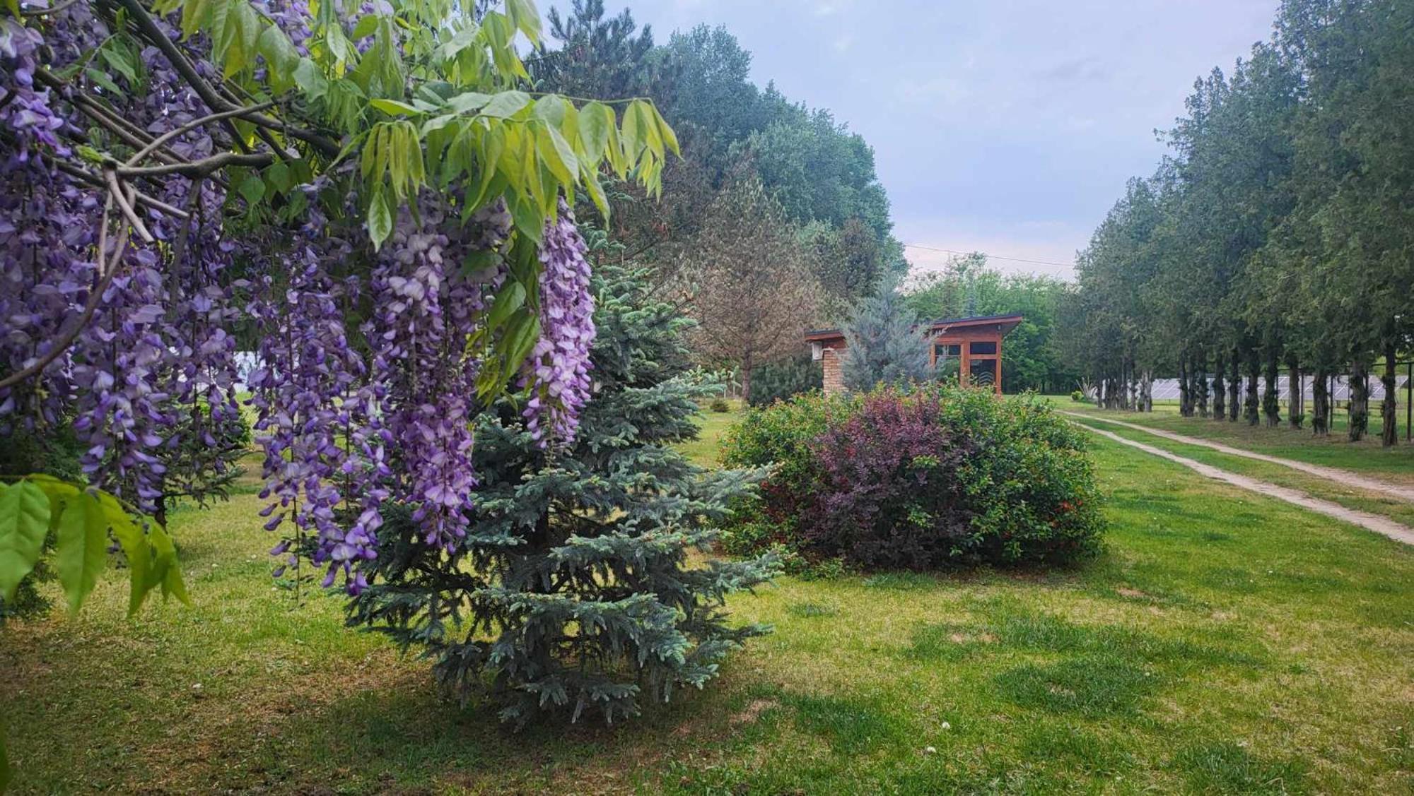 Willa Gyoember Tanya Ásotthalom Zewnętrze zdjęcie